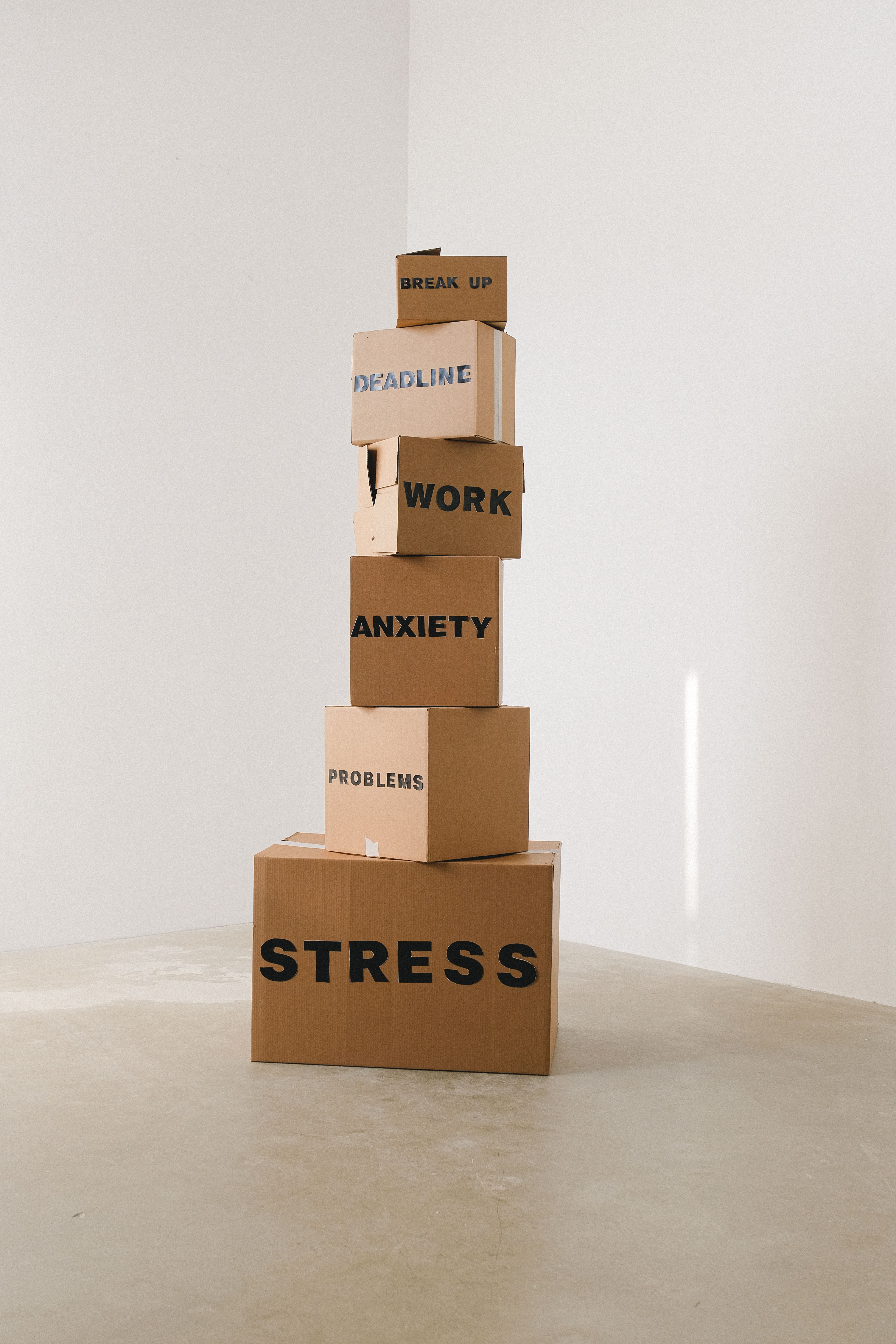 Veylin wellbeing workshop