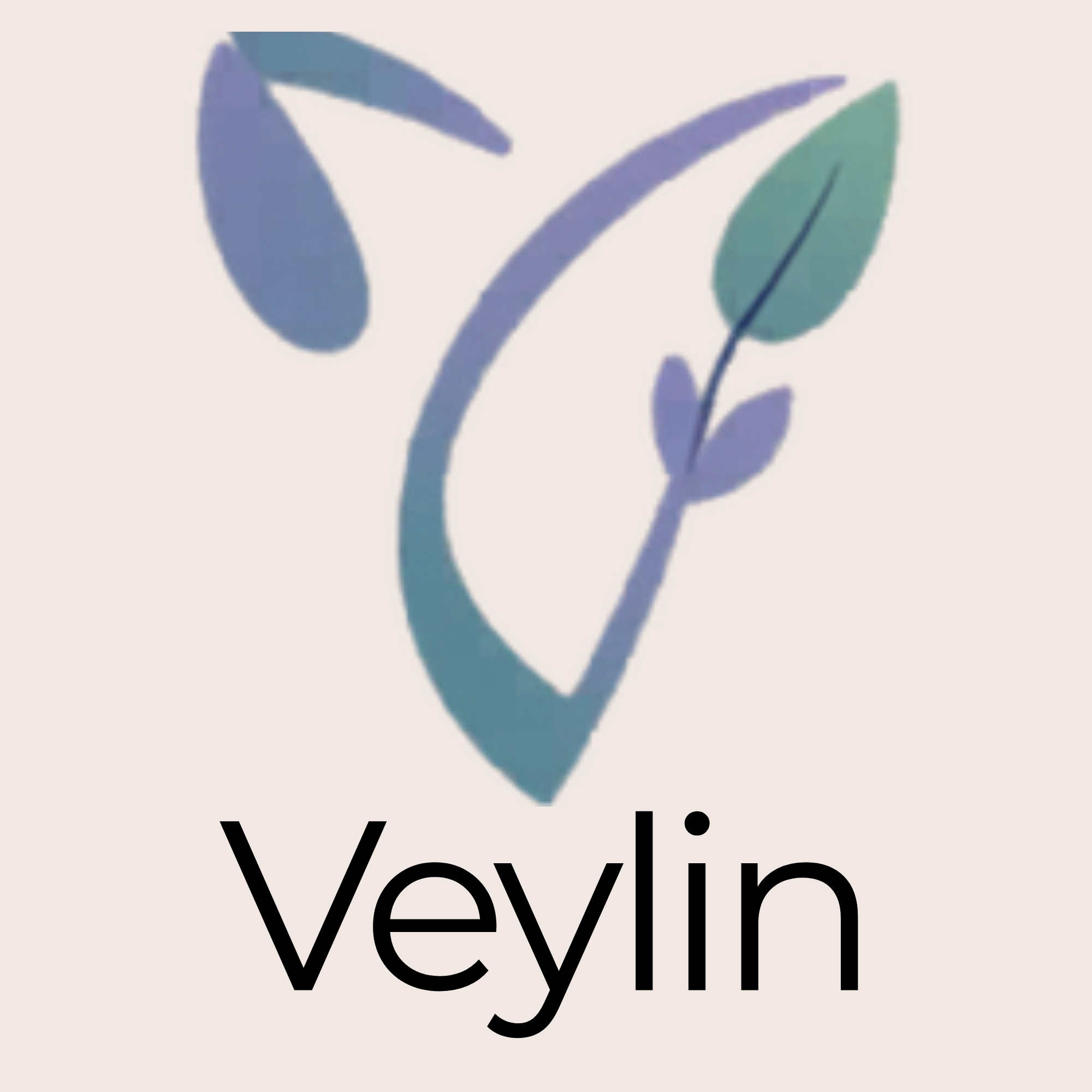 Veylin Logo